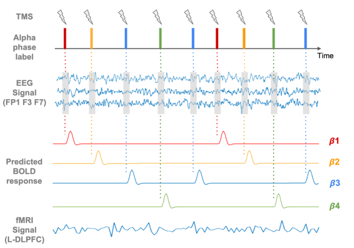 TMS-induced modulation of brain networks and its associations to rTMS treatment for depression: a concurrent fMRI-EEG-TMS study